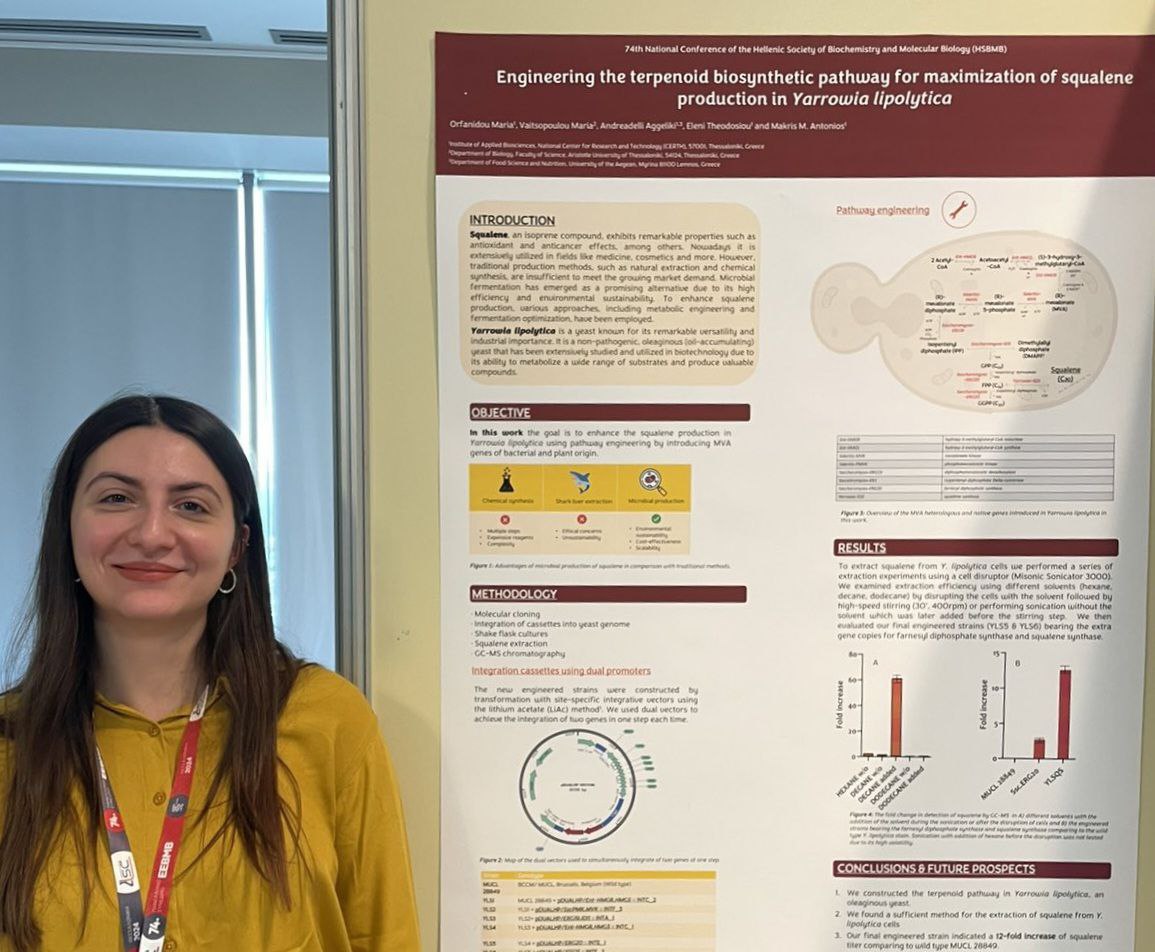 4. ΕΕΒΜΒ_ Orfanidou