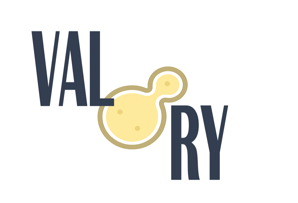 Valory_Logo_new