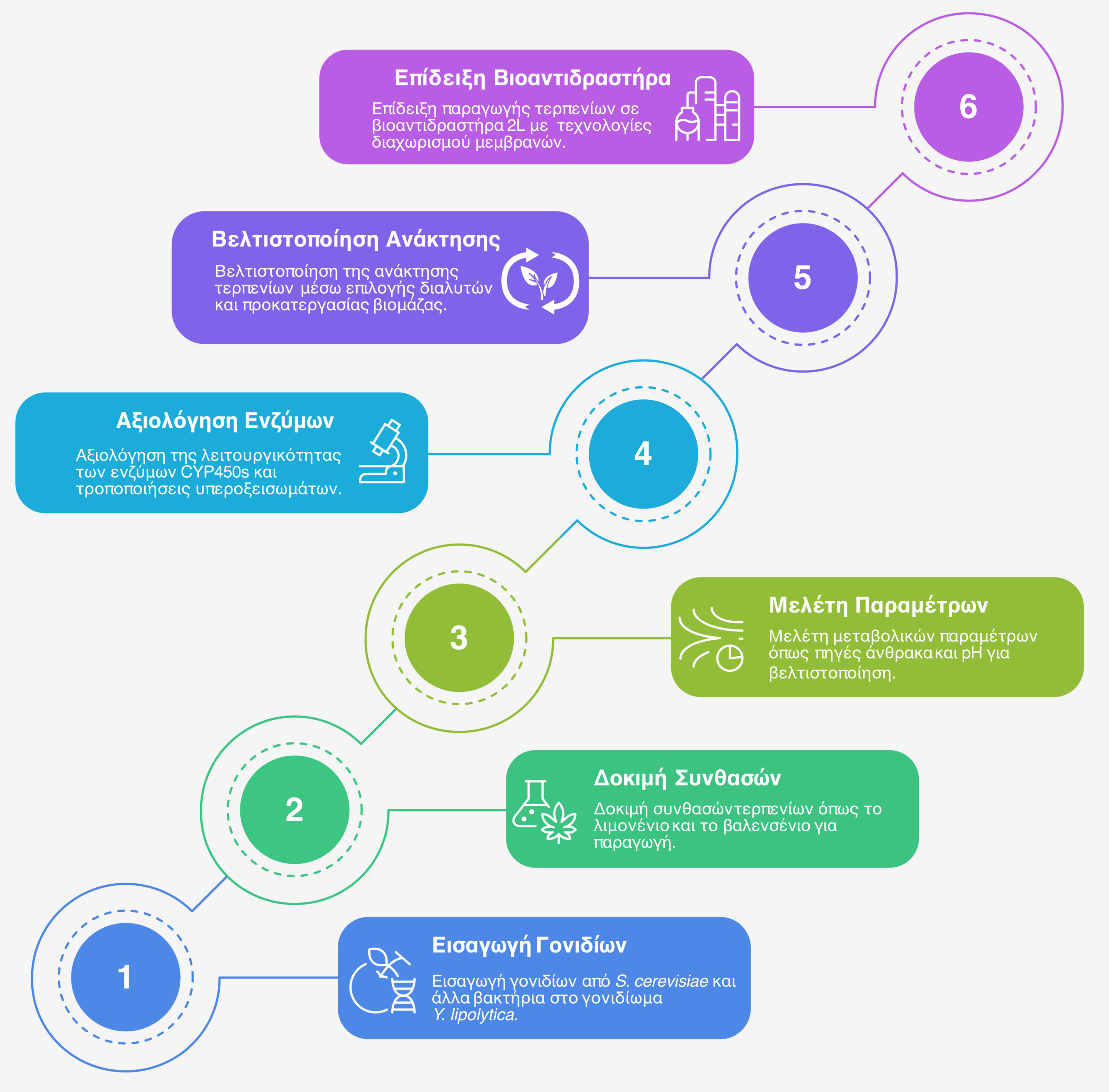 Valory-project_overview-4